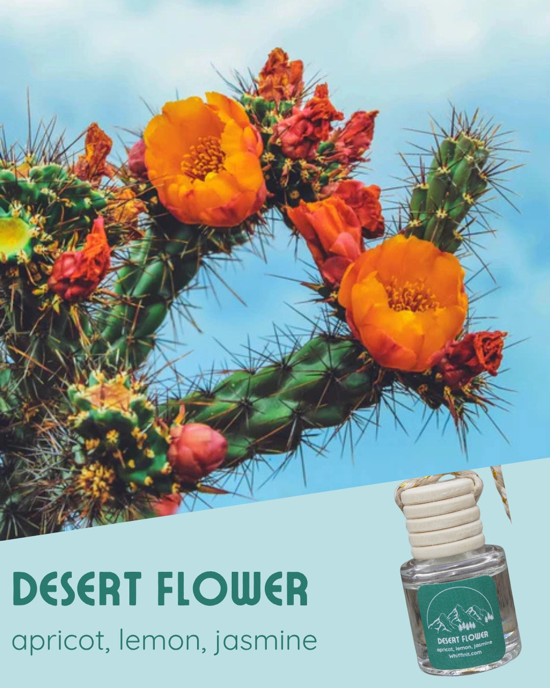 Whiffin' Desert Flower