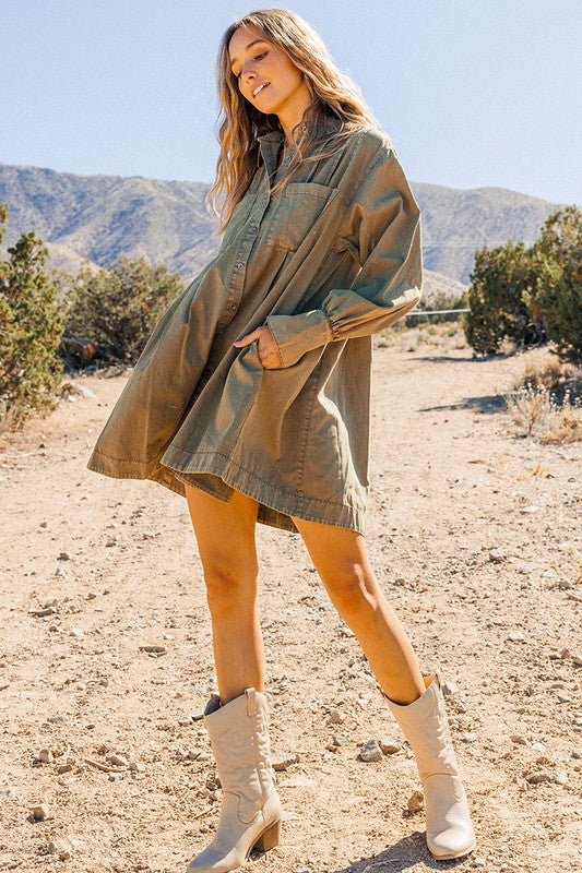 Felicity Long Sleeve Pleated Shirt Dress