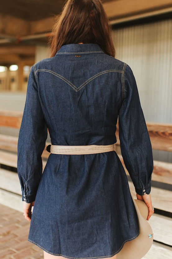Tall Grass Denim Dress